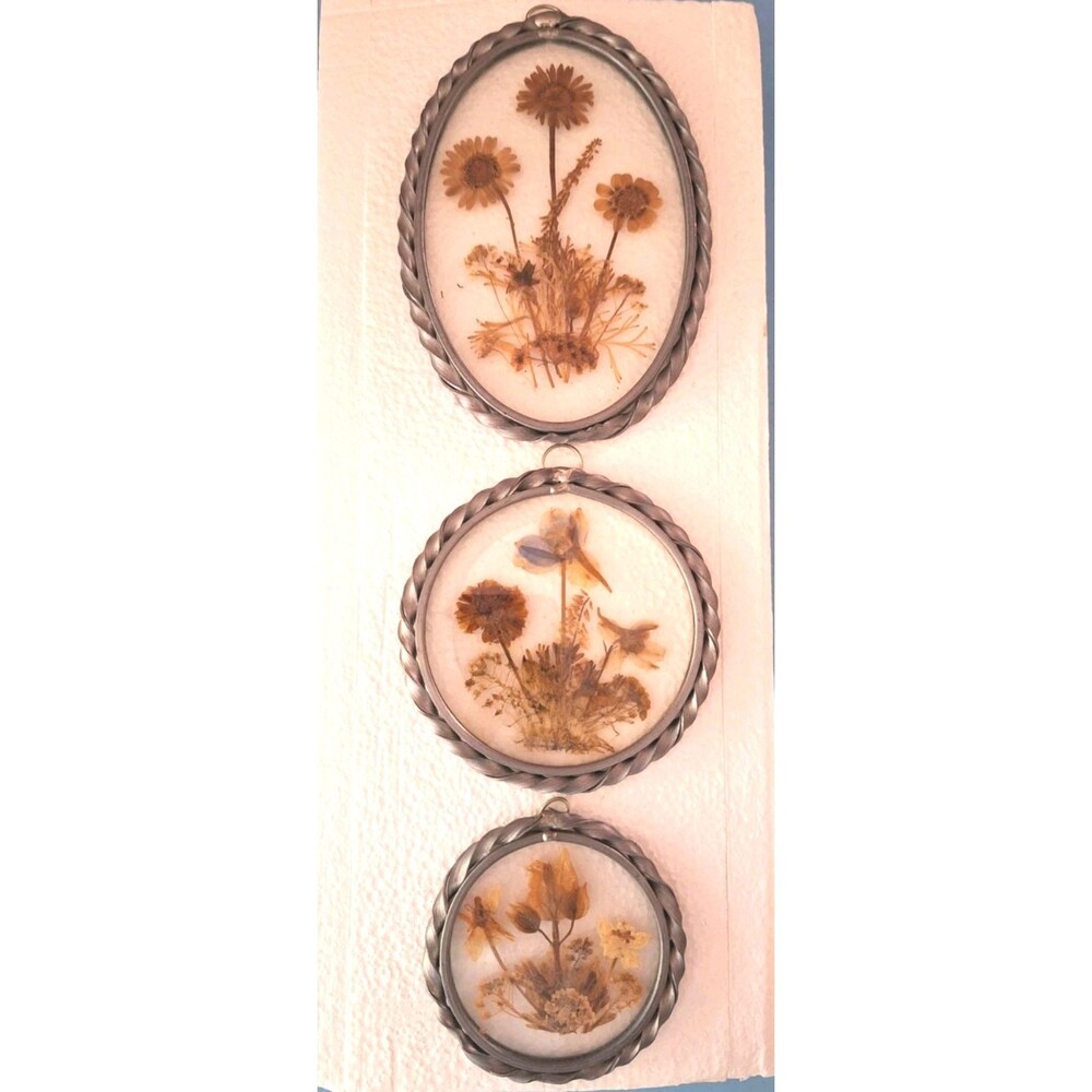 VTG 3 Lasting Impressions Dried Flowers Under Glass Wall Window Art Framed